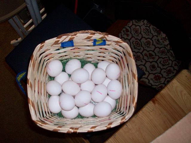 Eierschiessen 09 (30).JPG